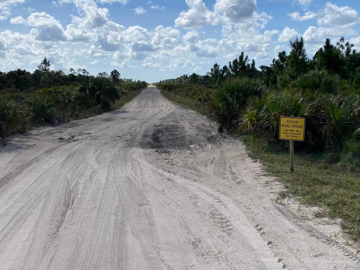 Everglades Boulevard photo 5