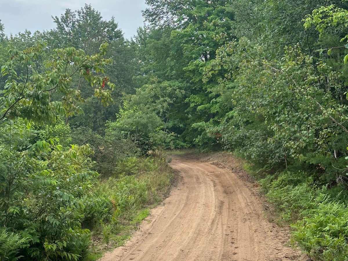 Fortine Spur trail photo