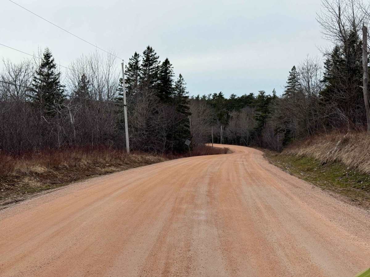 West Dalhousie Road trail photo