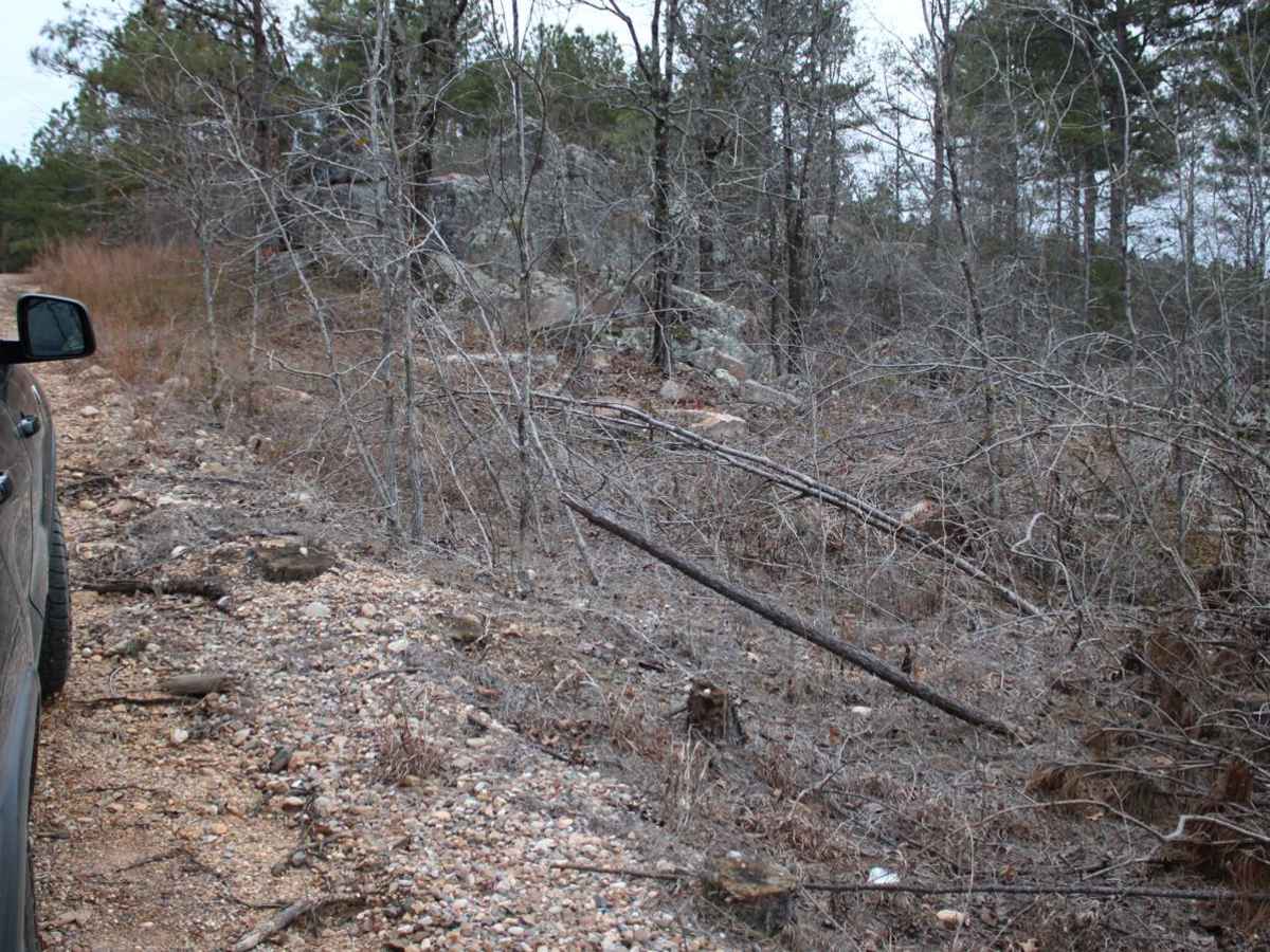 Buck Valley photo 4