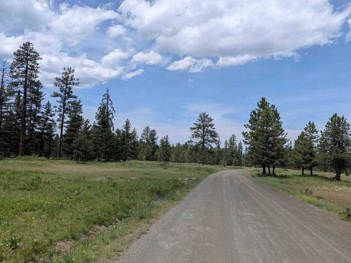 Wellamockin Road North NF46 photo 4