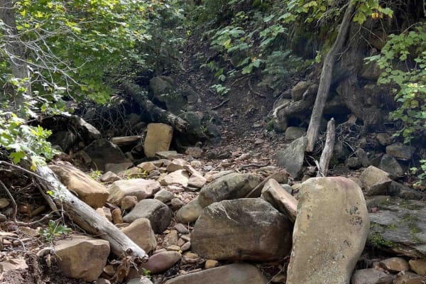 Right Fork Days Canyon (8004)