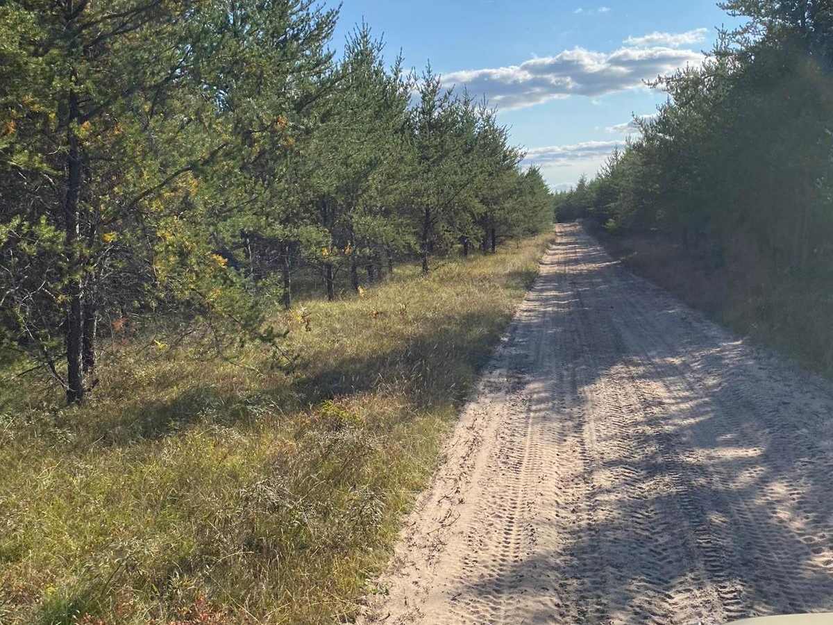 Trail 41 Haywire Grade - Part 4 photo 3