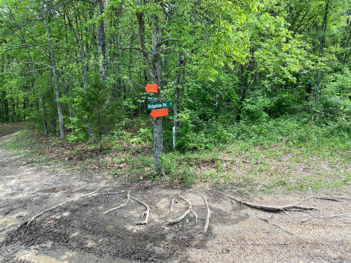 Ridgeline Road photo 6