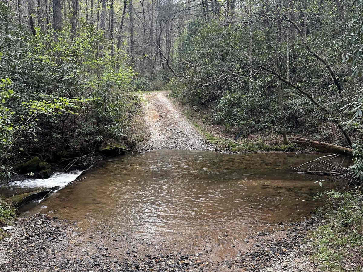Knight Creek - FS 264A photo 2
