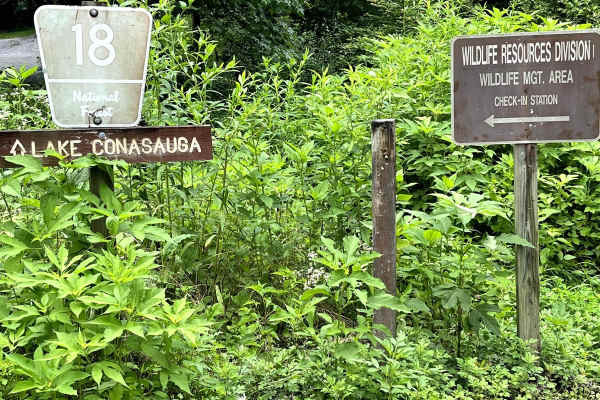 Mulberry Gap Road