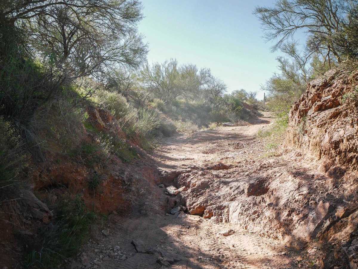 9059 trail photo