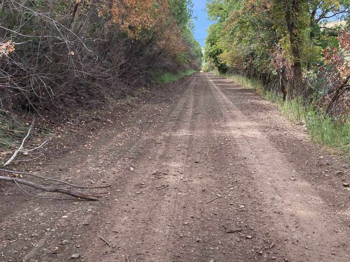 Birch Creek Road 407 photo 3