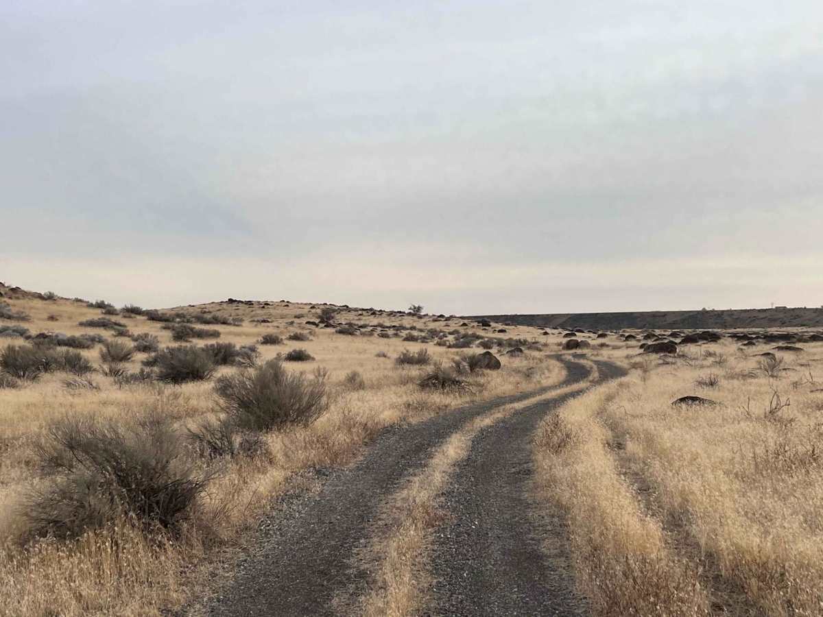 Petrified Watermelons trail photo