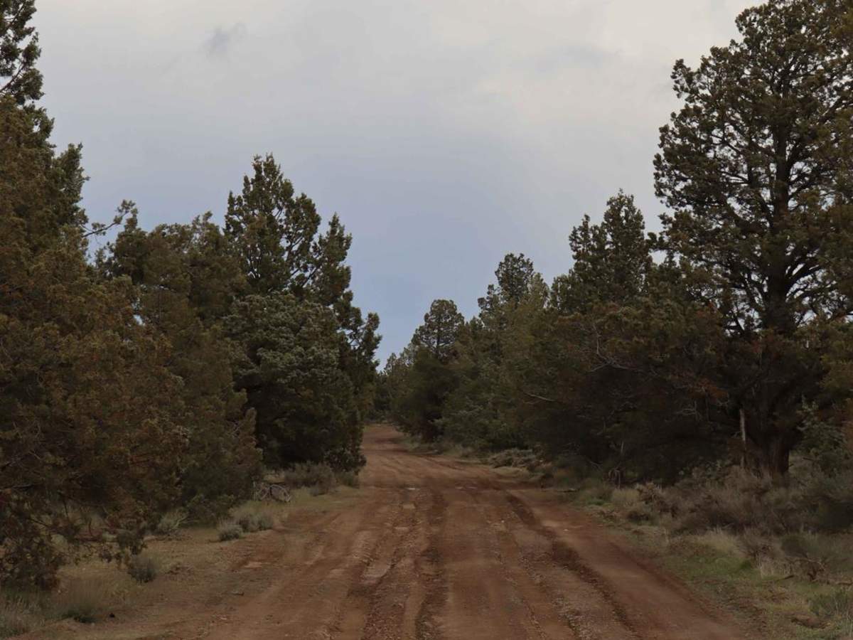 Remington Ranch Road Loop trail photo