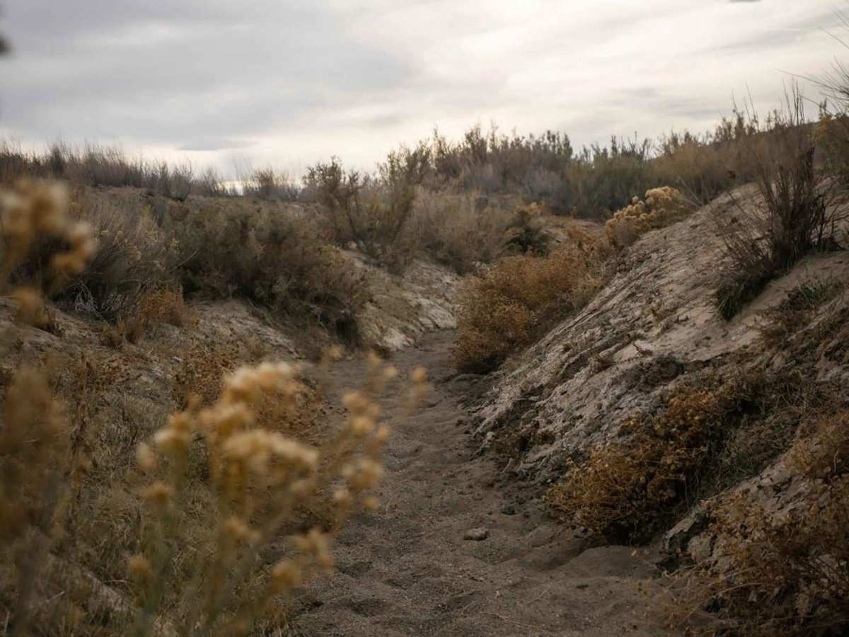 Canyon Arch photo 5