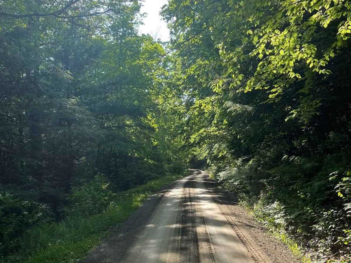 Cherry Run Road photo 2