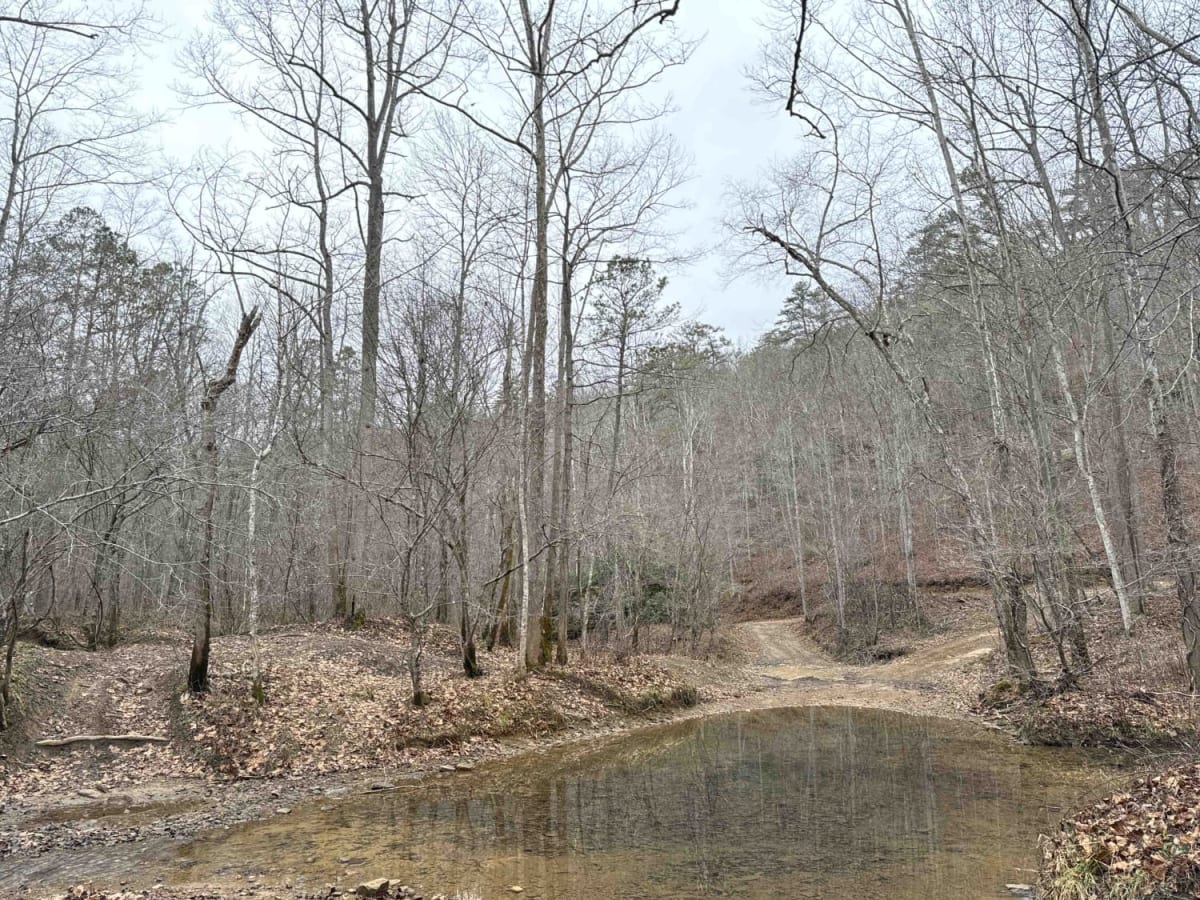 Clover Bottom Creek Road photo 2