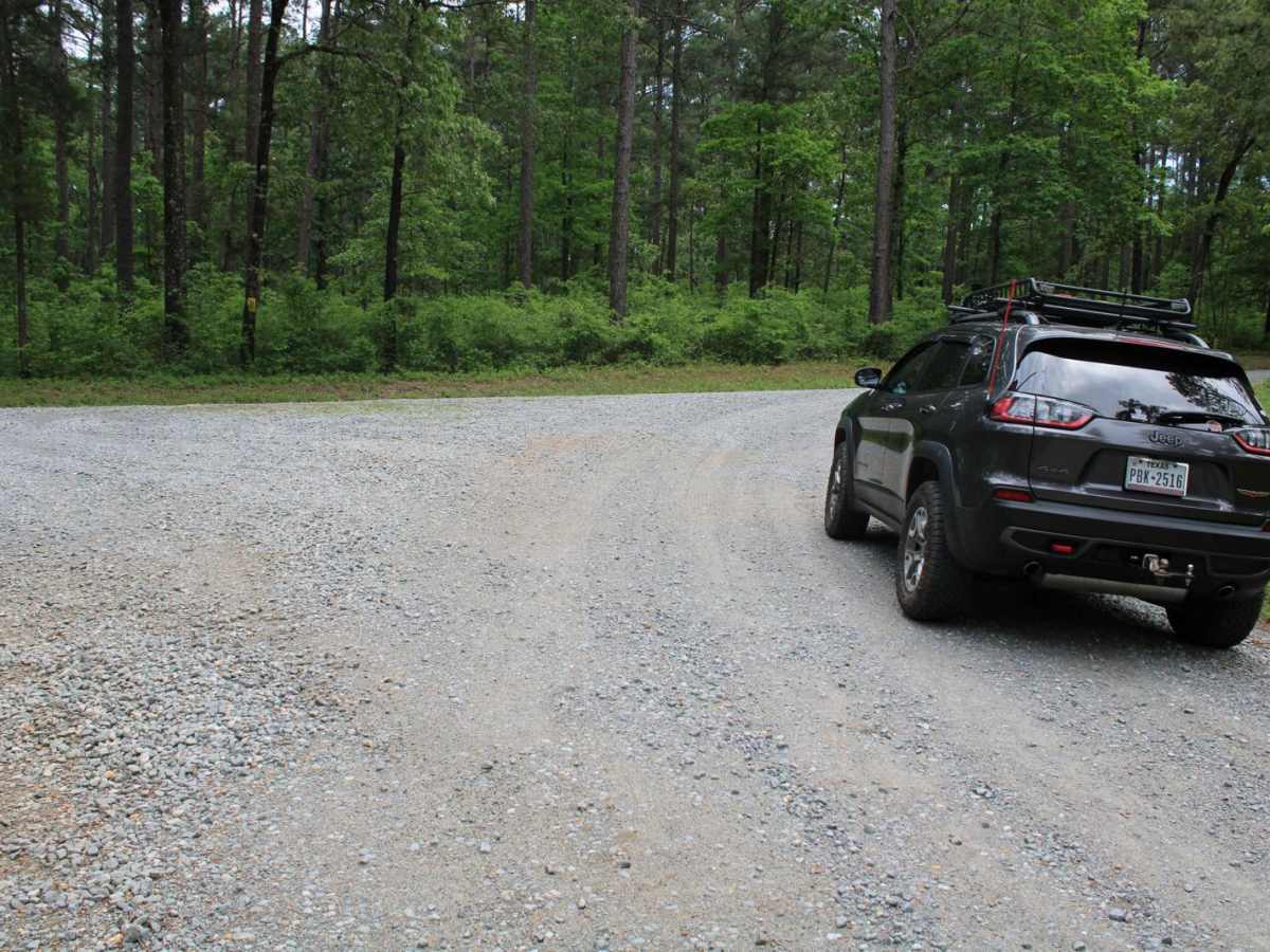 Circle Through the Past in Kisatchie photo 5