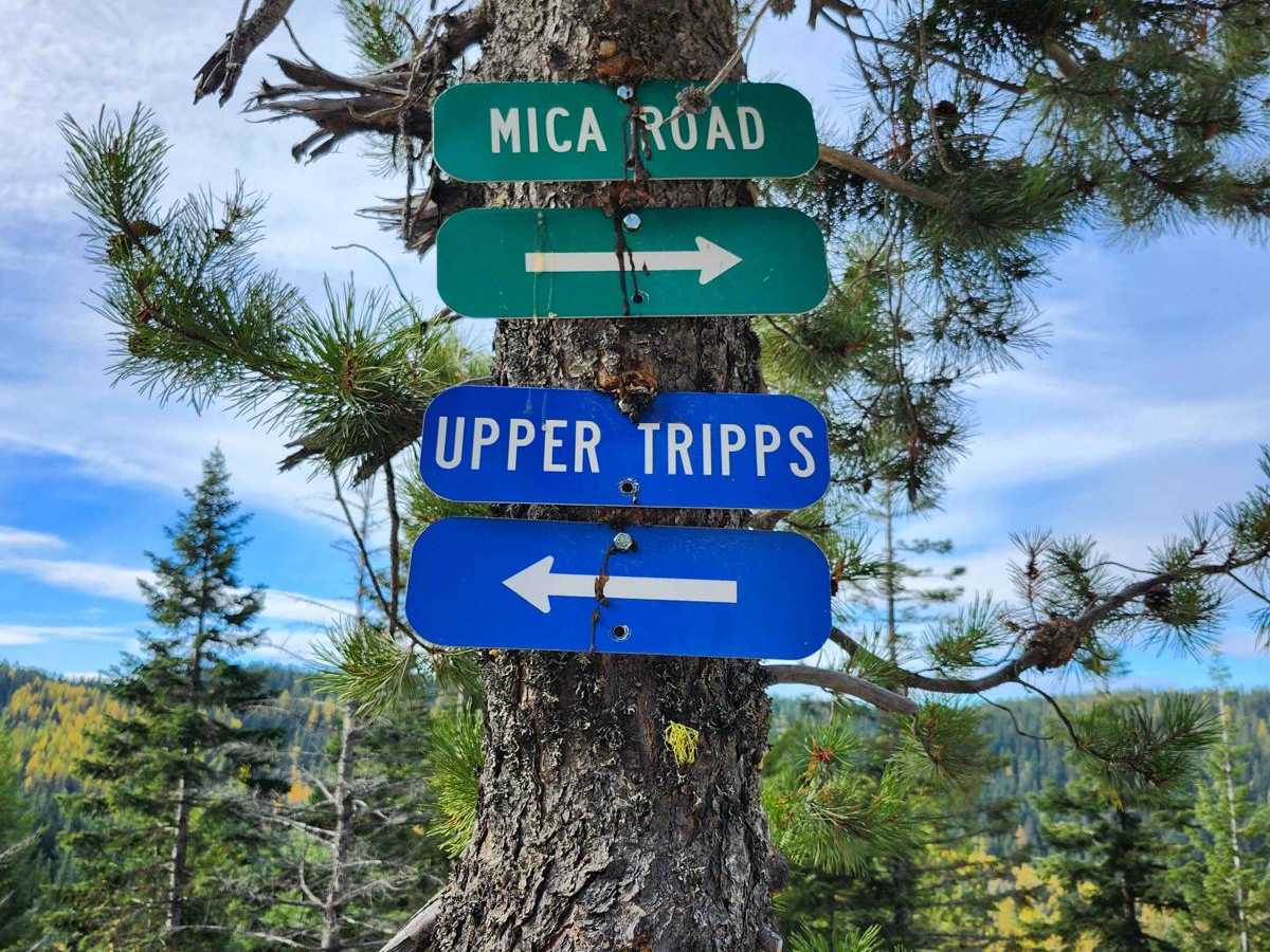 Mica Road & Upper Outer Limits photo 3