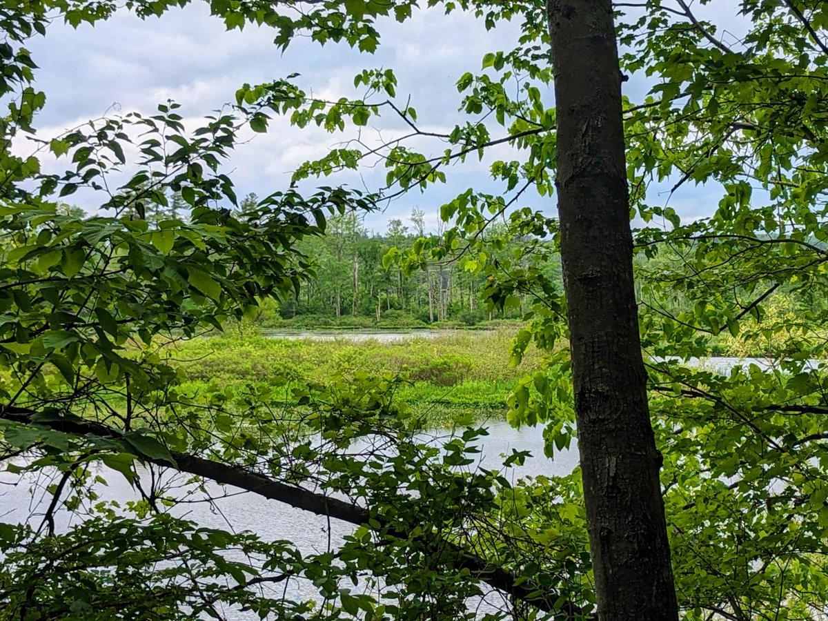 Roaring Brook Road trail photo