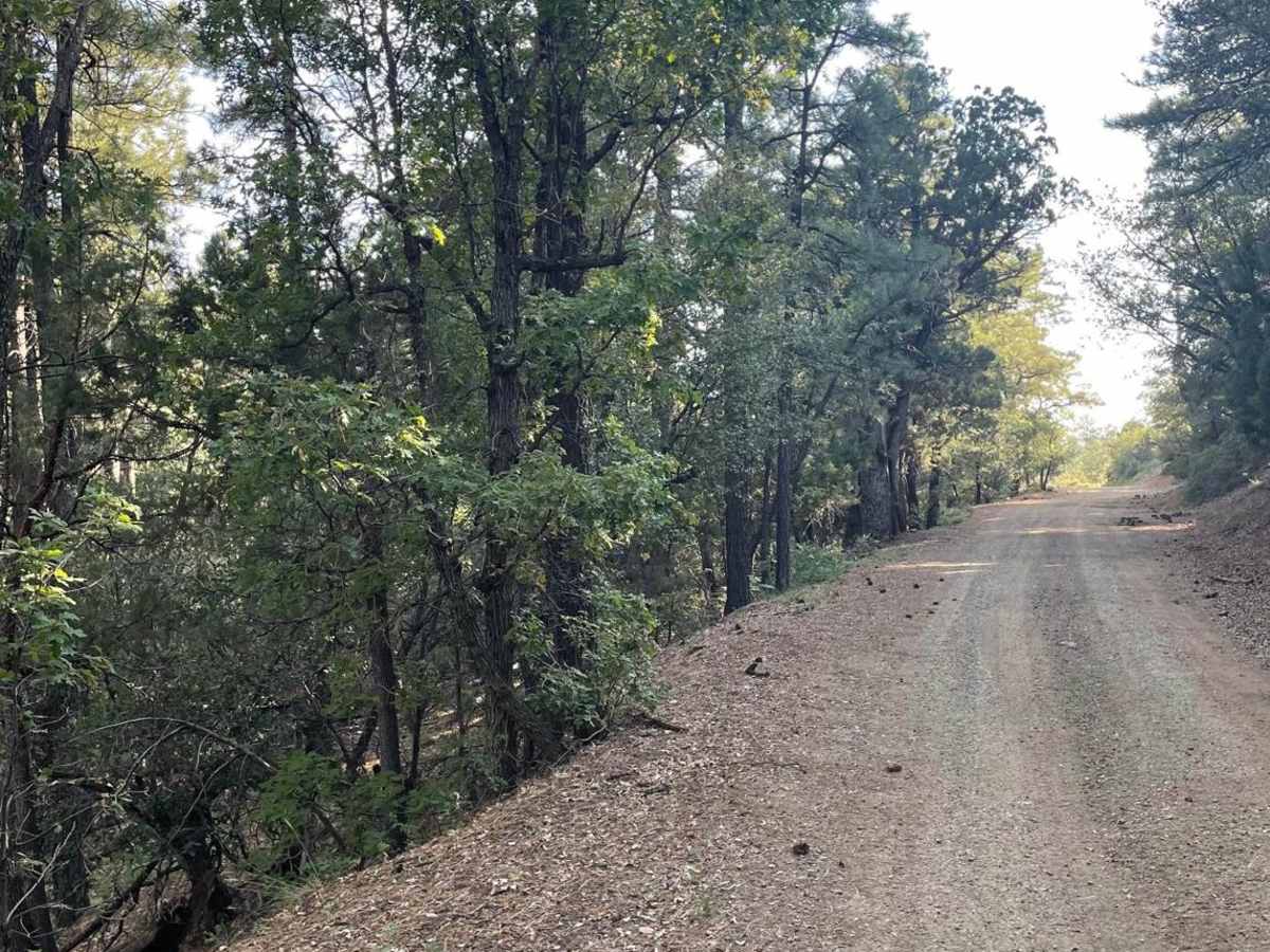 Exit Off Spruce Mountain Road photo 6