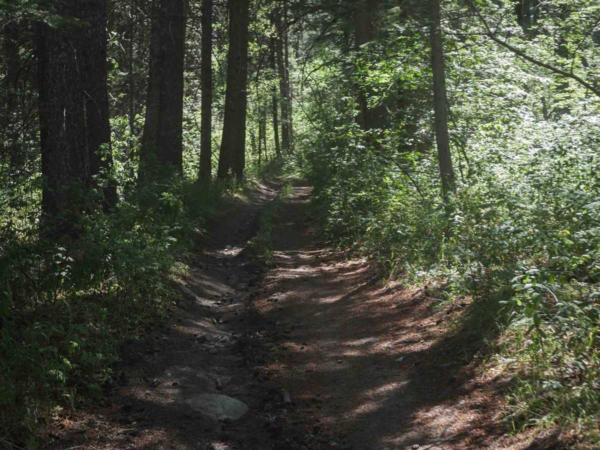 Slate Trail #3119  photo 2