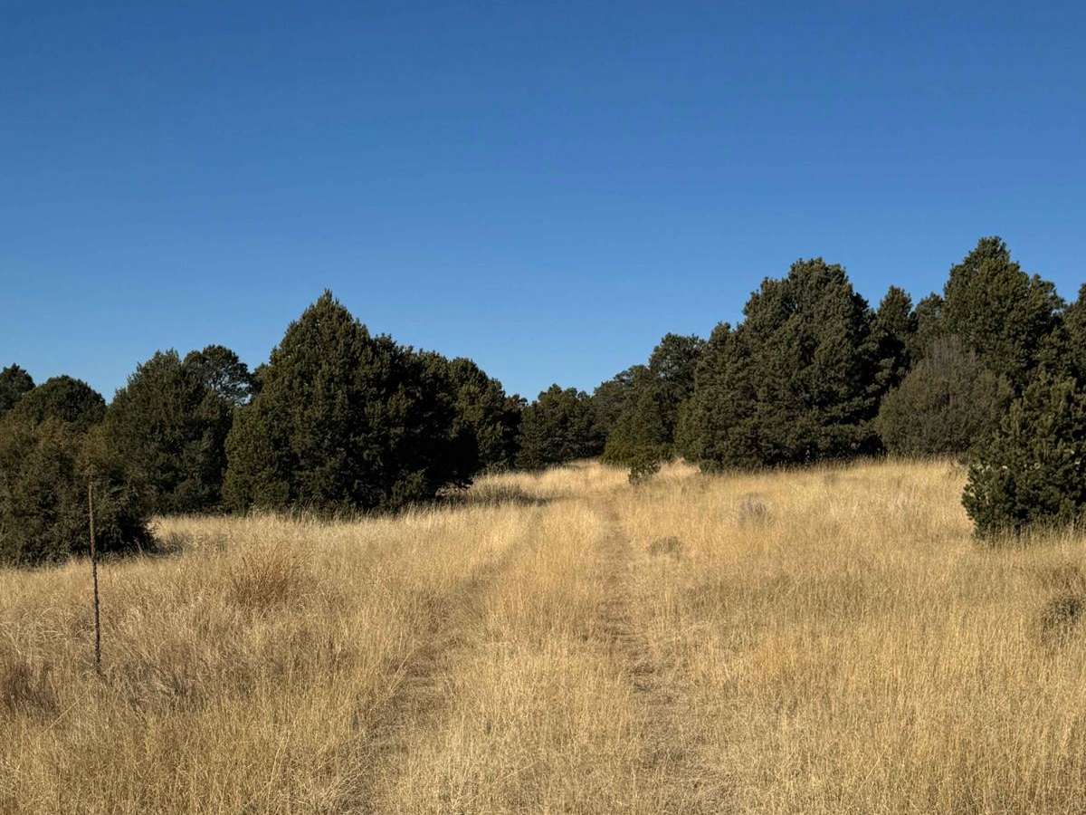 Rowe Peak Pass photo 2