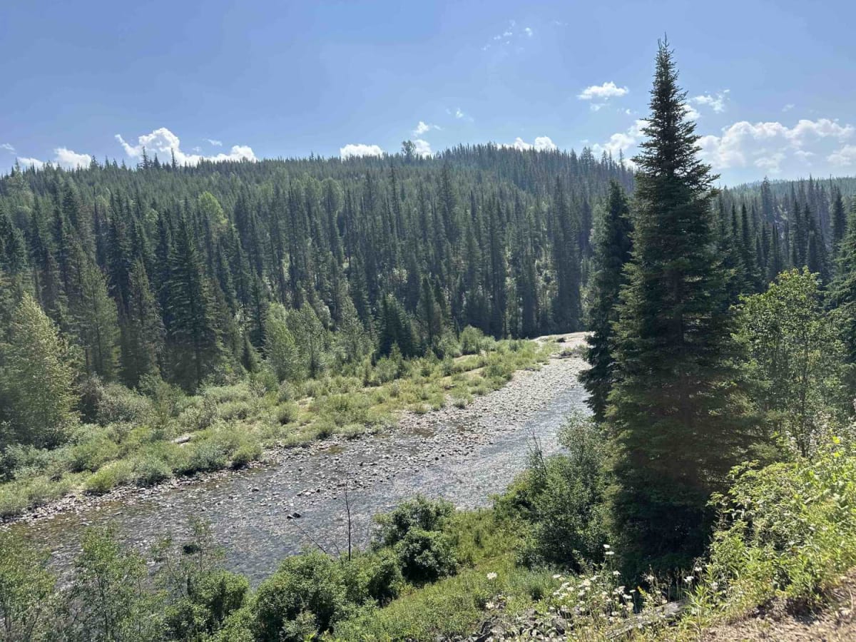Stove Creek Road trail photo