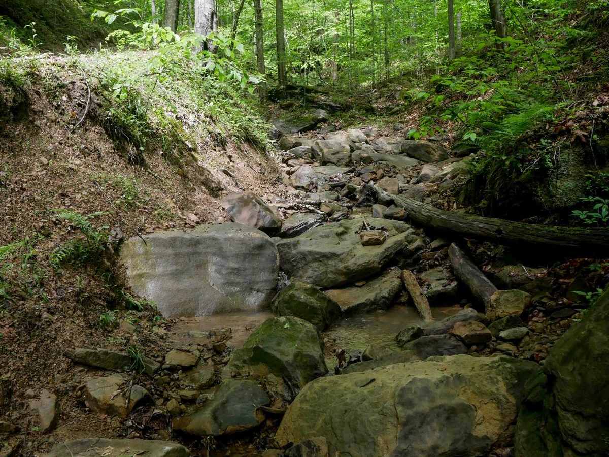 IB 90 trail photo
