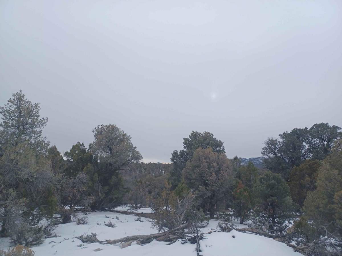 Coal Springs Loop photo 5