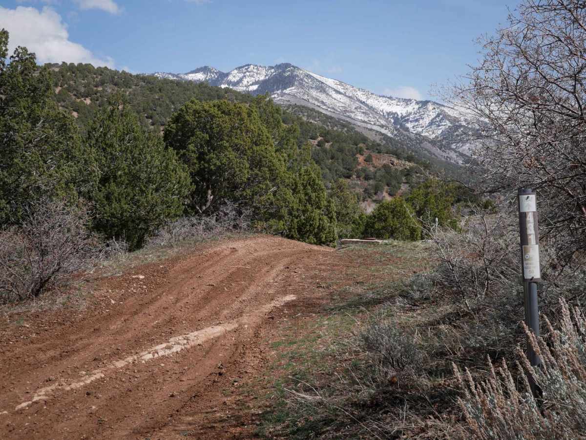 431 trail photo