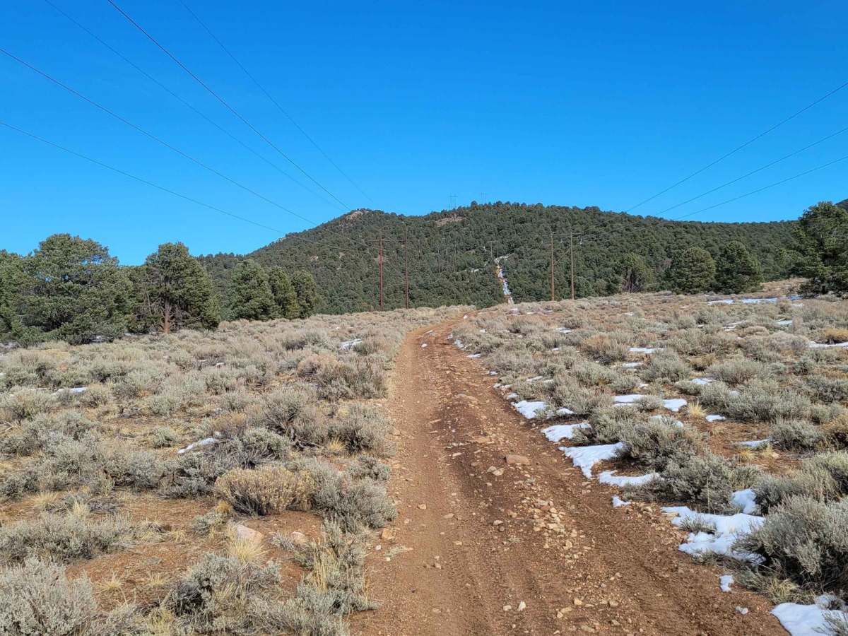 Big Buck Meadows Trail photo 3
