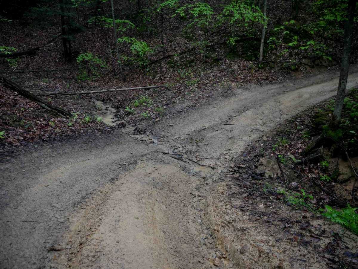 IB 36 trail photo