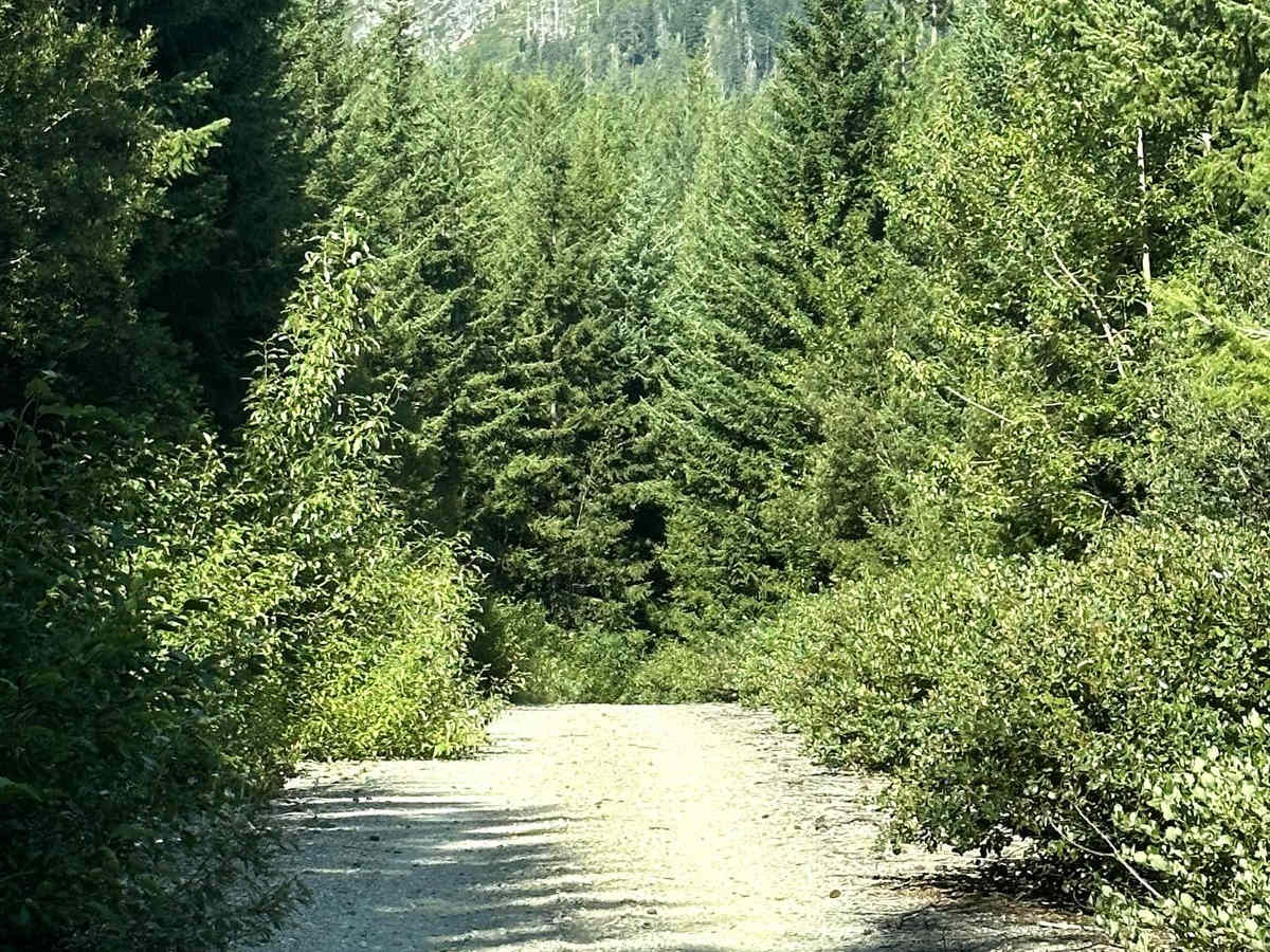 Pole Creek Loop photo 4