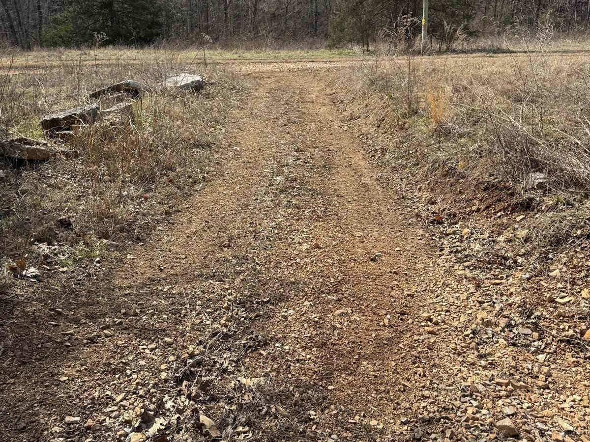 Yellow 421 trail photo