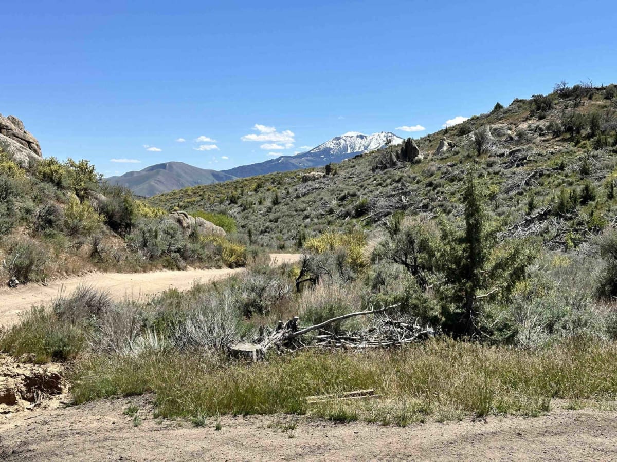 Montini Cabin Homestead Loop photo 6