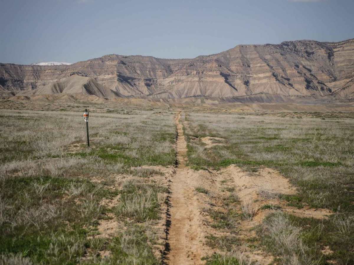 BLM Route 196 photo 2