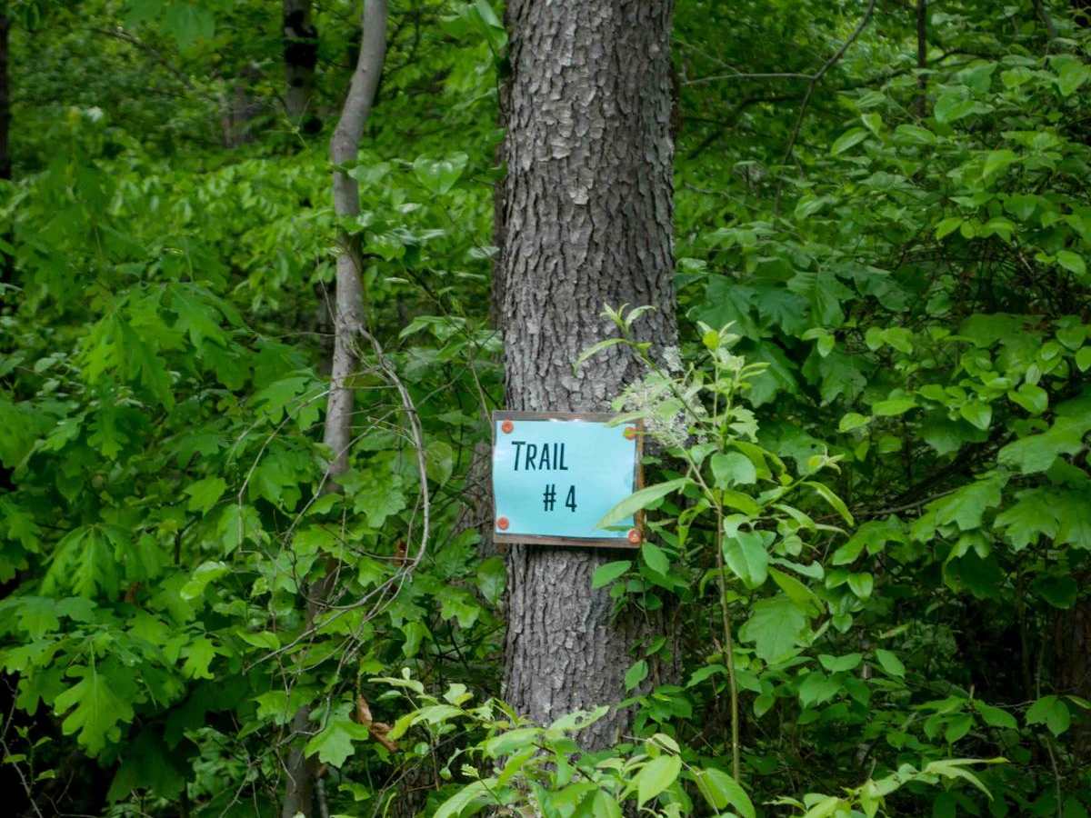 Trail 4 photo 2