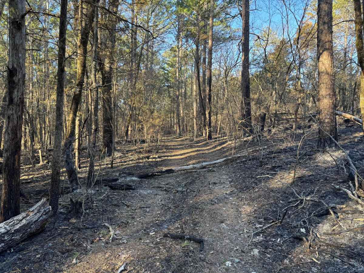 County Road 523 photo 6