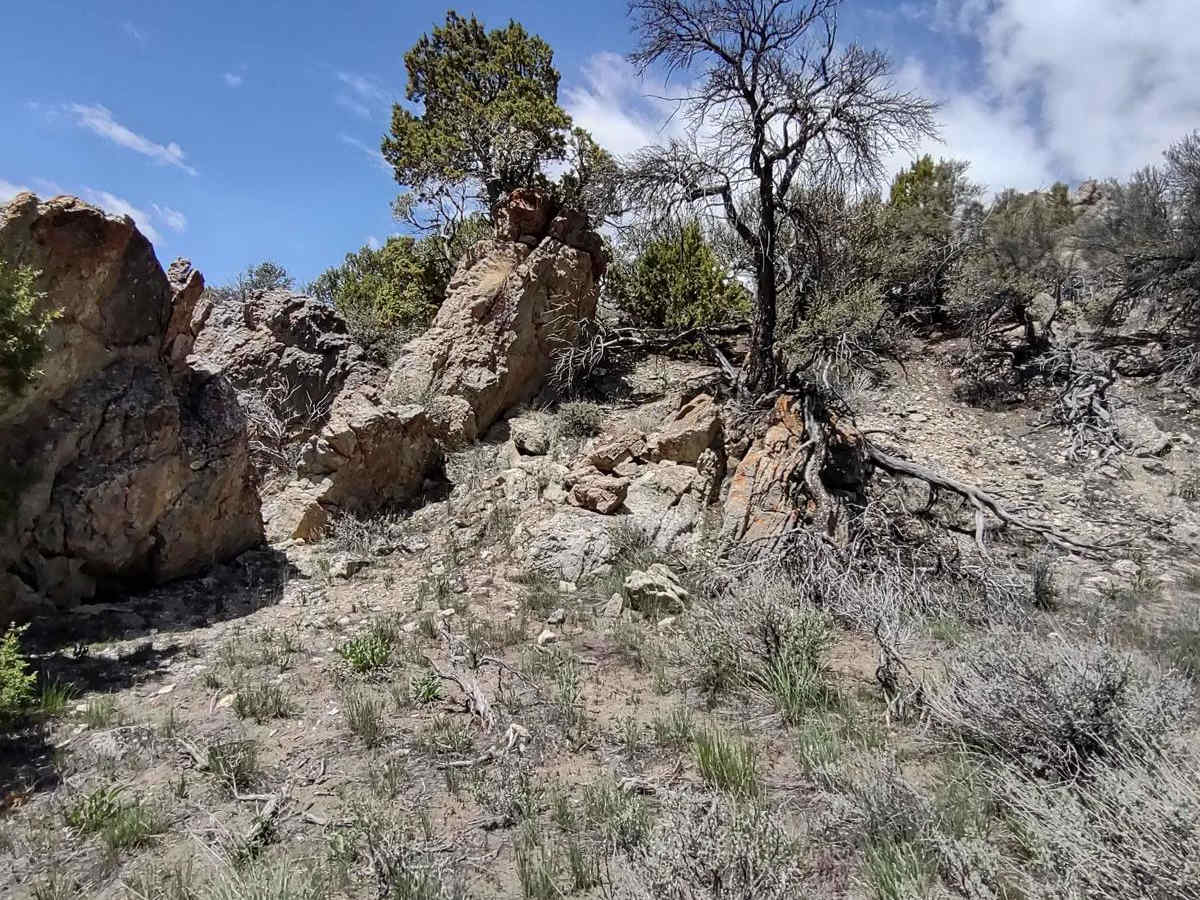 Arco Pass to Horsethief Spur #6 trail photo