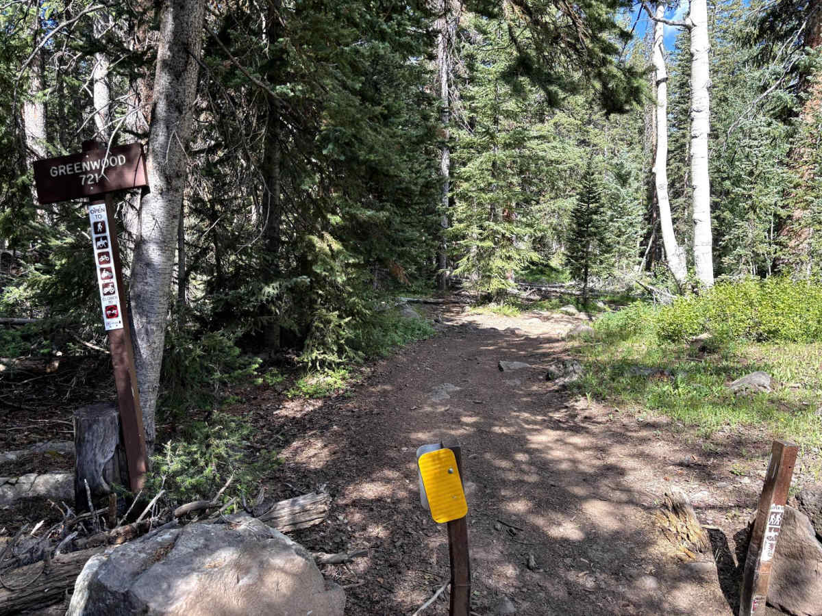 Greenwood Trail photo 2