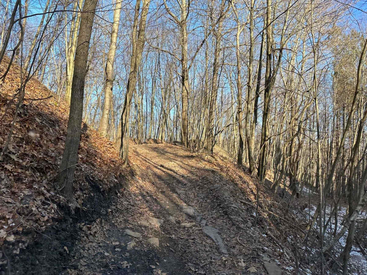 Locust Gap 6 trail photo