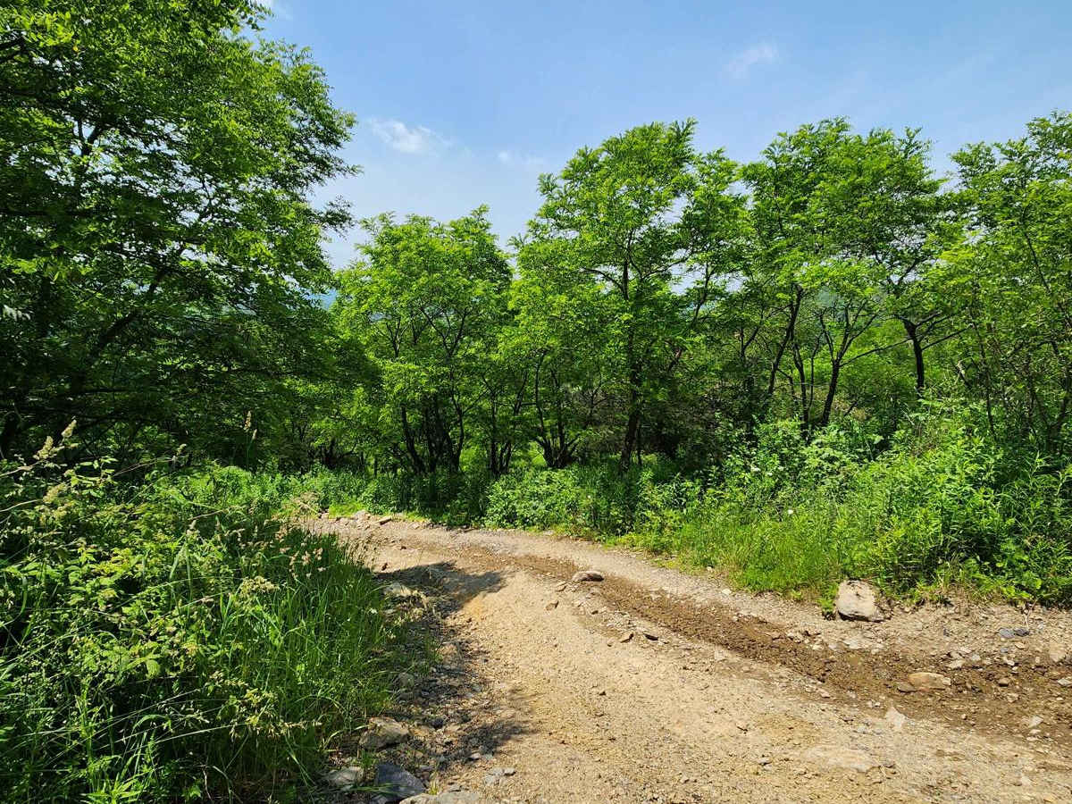 Trail 8 - Rock Run Recreation Area photo 6