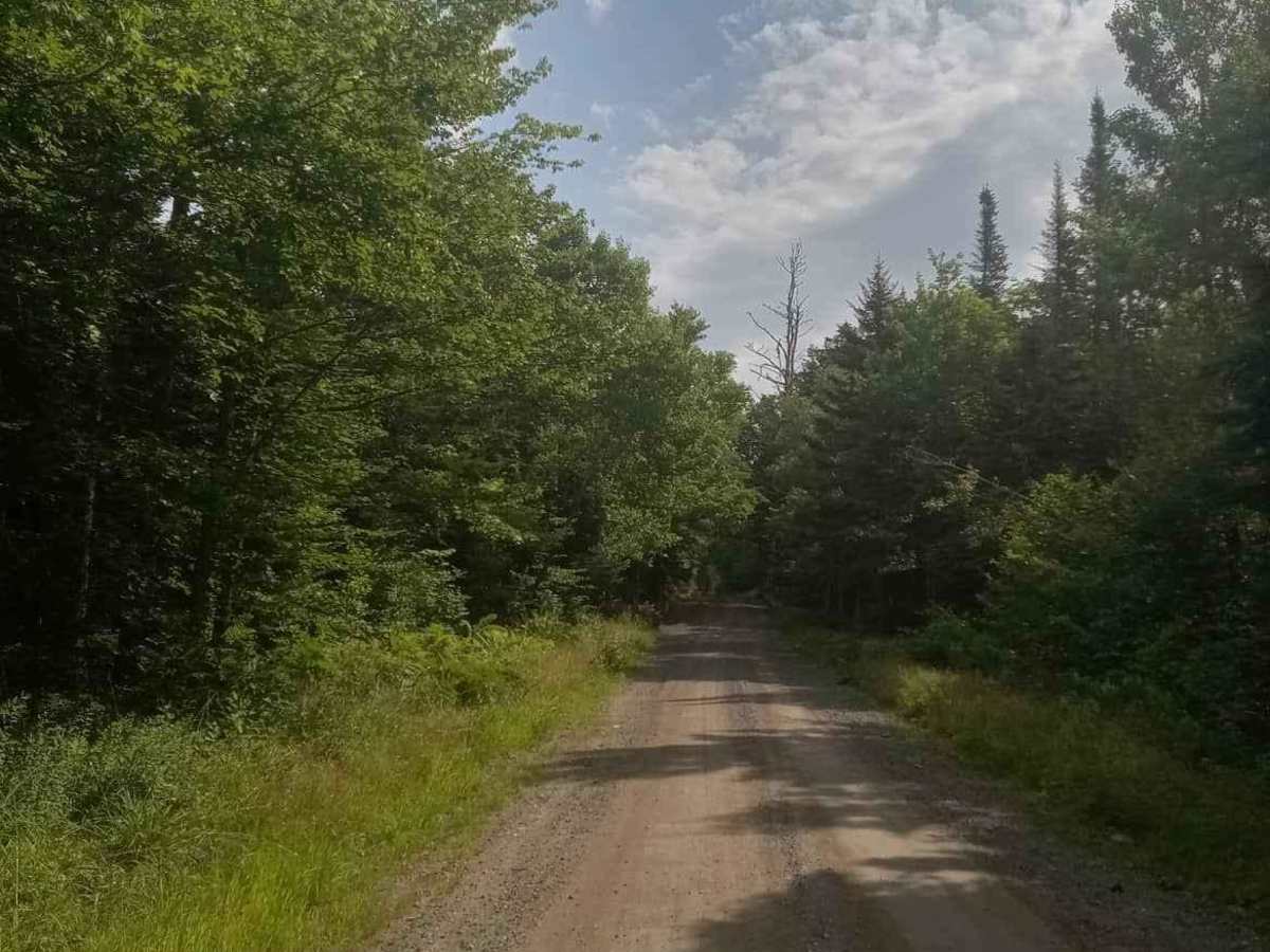 Hurlett Pass trail photo