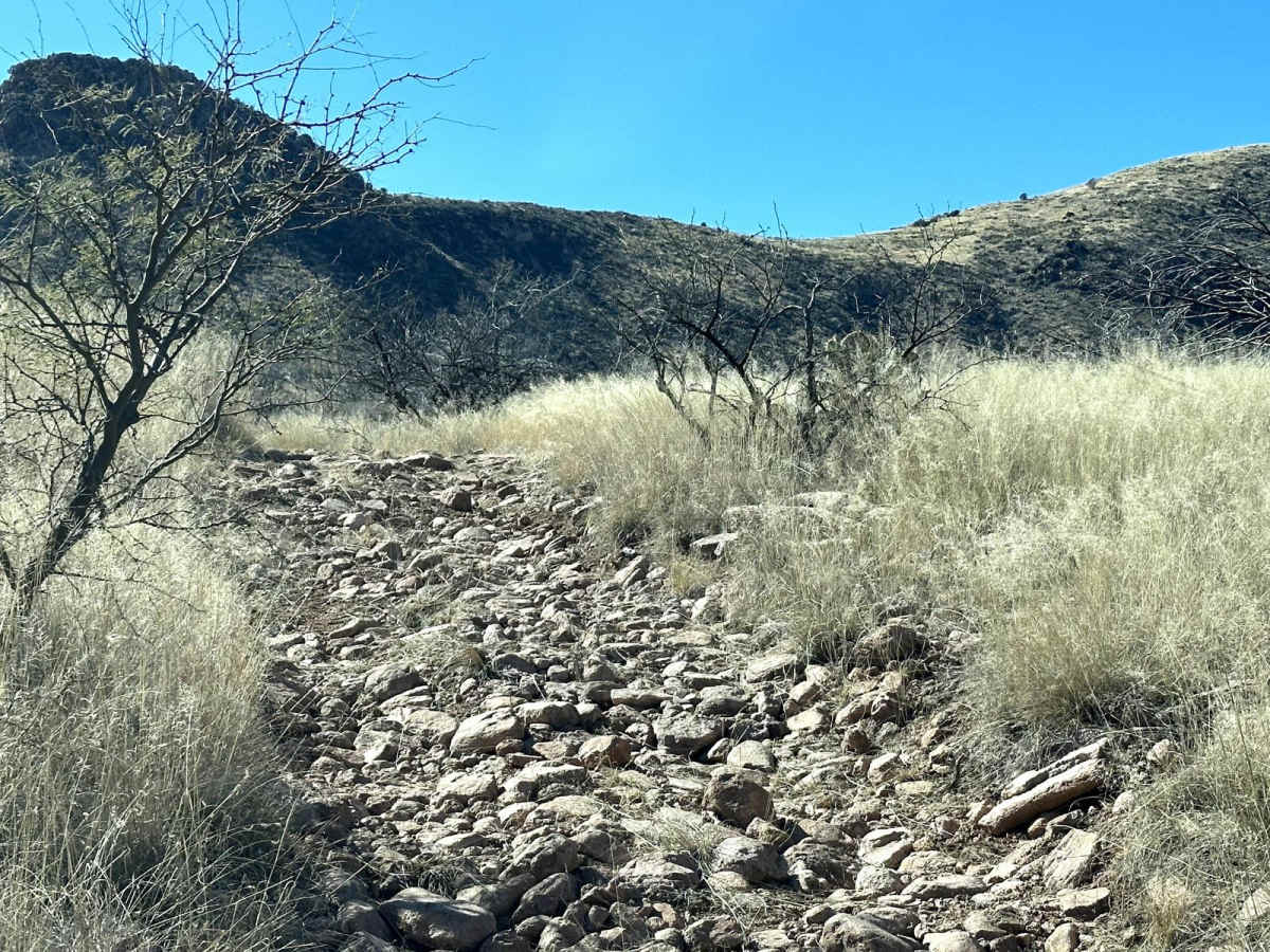 Buzzard Tank Trail trail photo