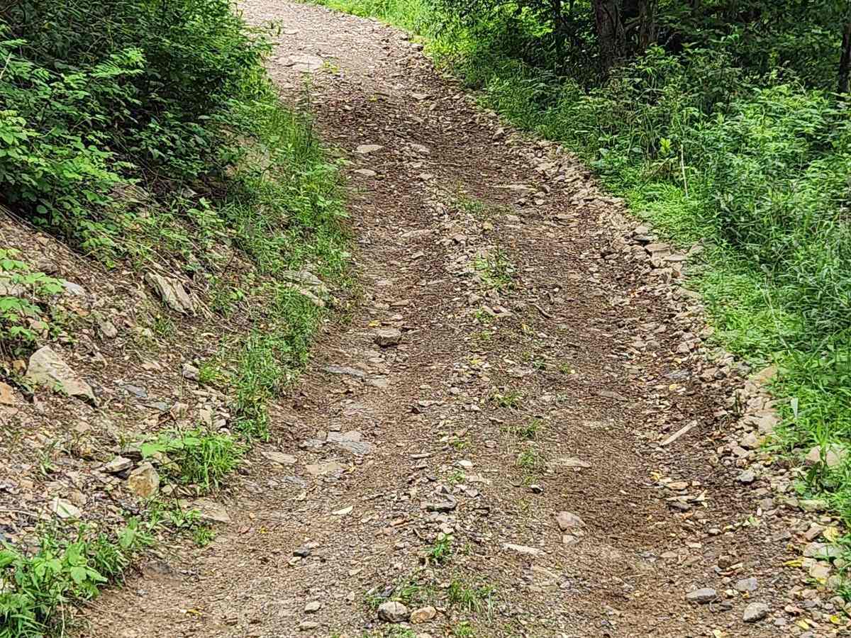 Trail 3G - Rock Run Recreation Area photo 2