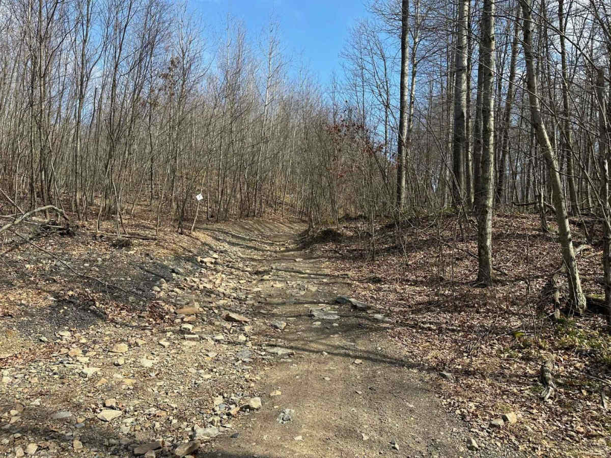Ashland 8 photo 6