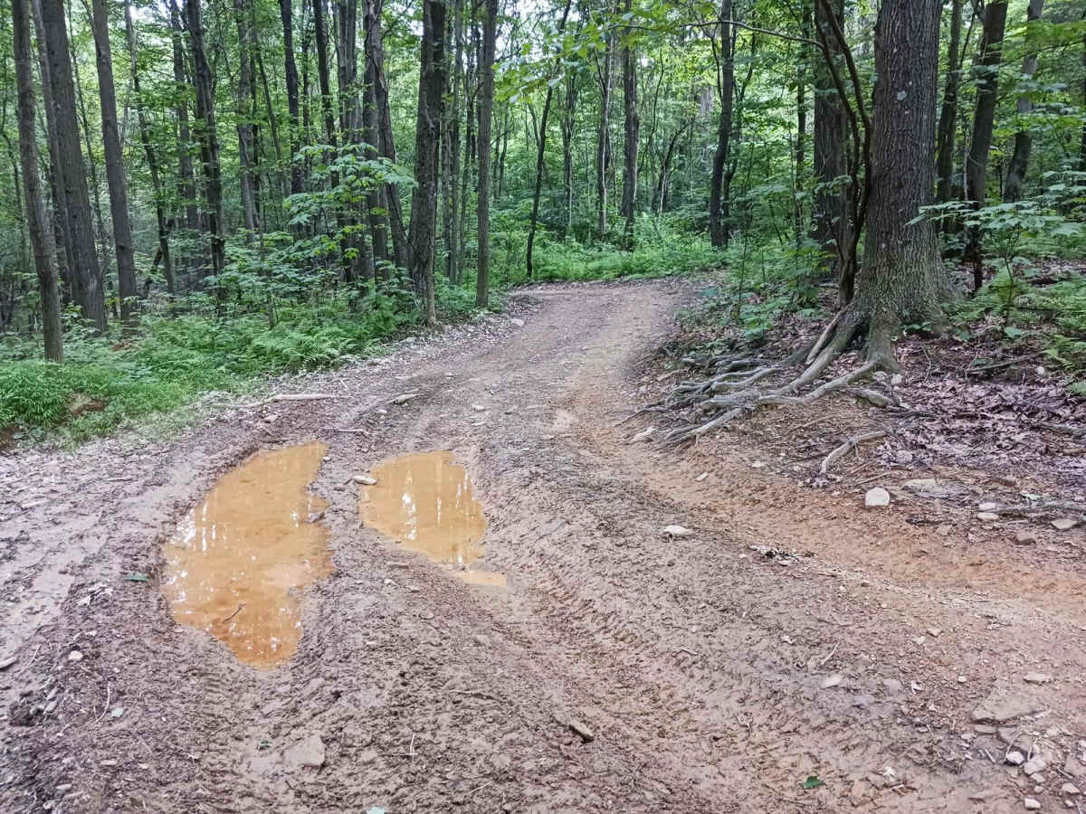 Trail 1B - Rock Run Recreation Area photo 6