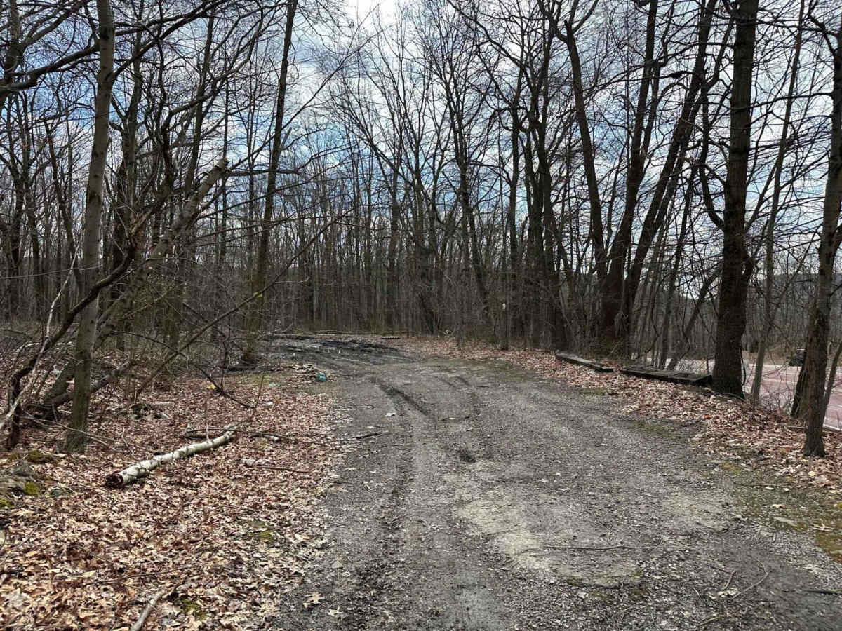 Ashland 100 trail photo