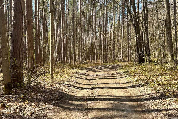 Cadillac Area ORV/OHV Scenic Ride - Part 13