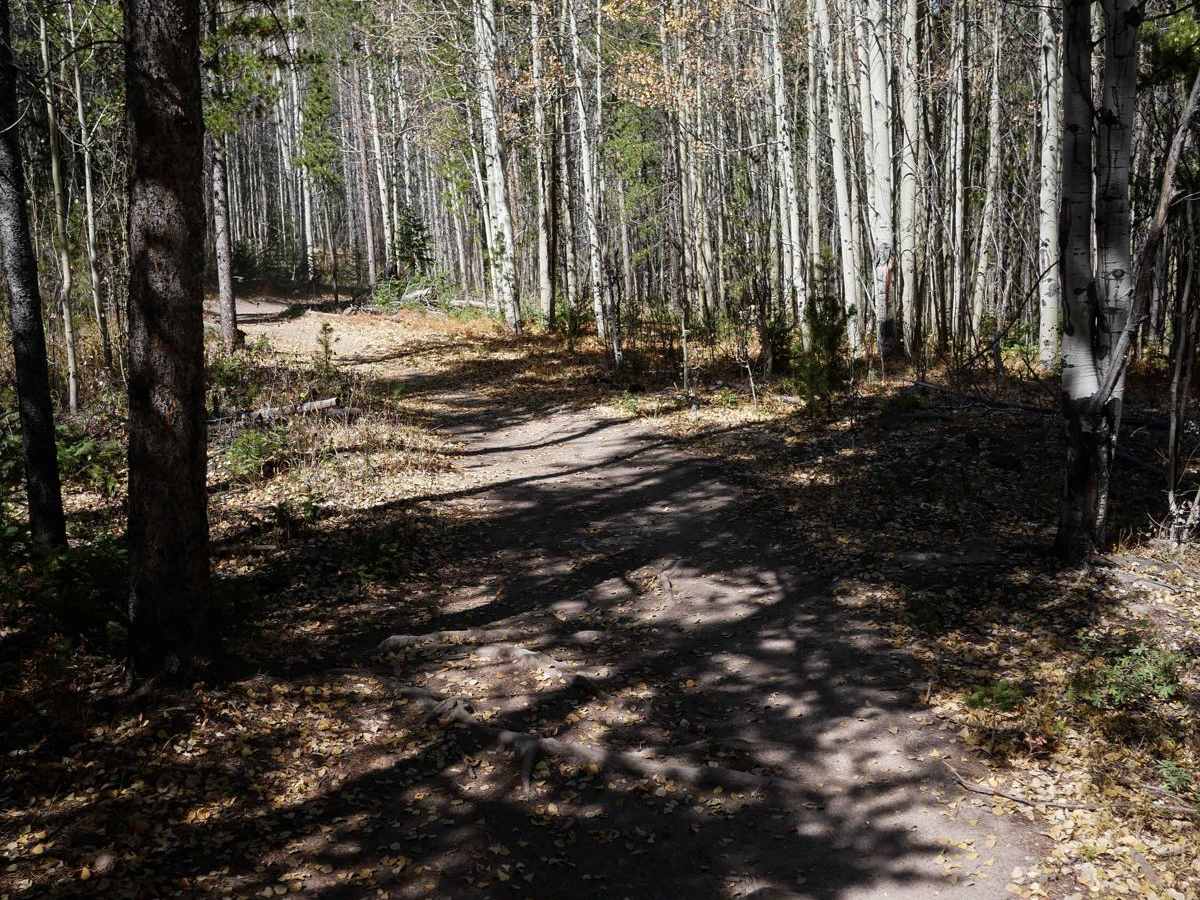 Elk Meadow ATV photo 5