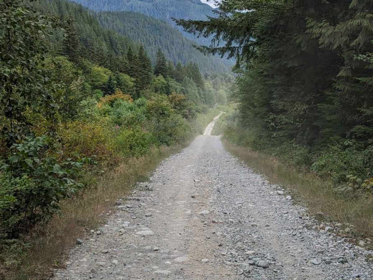 Squamish Indian Arm FSR photo 4