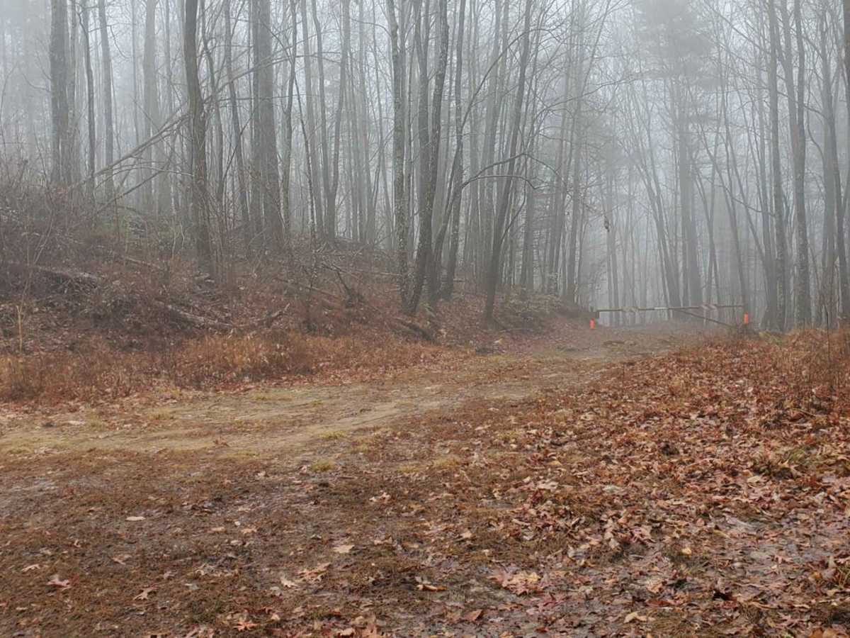Hickorynut Gap - FSR 797 photo 6