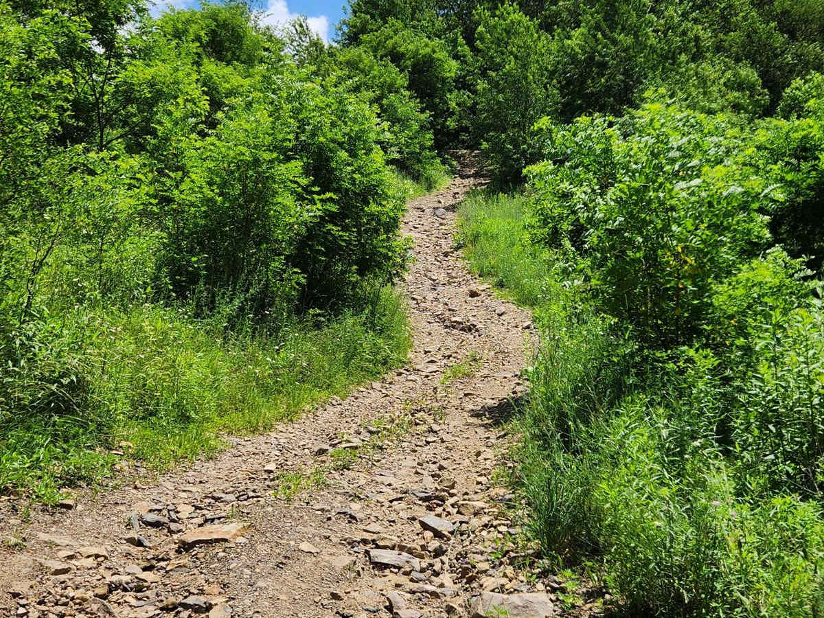 Trail 7C - Rock Run Recreation Area photo 4